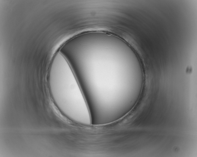 X0000113640797200909181328