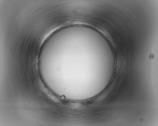 X0000113640798200909181328