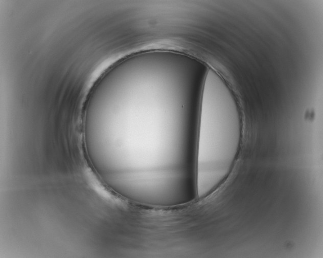 X0000113640800200909181328