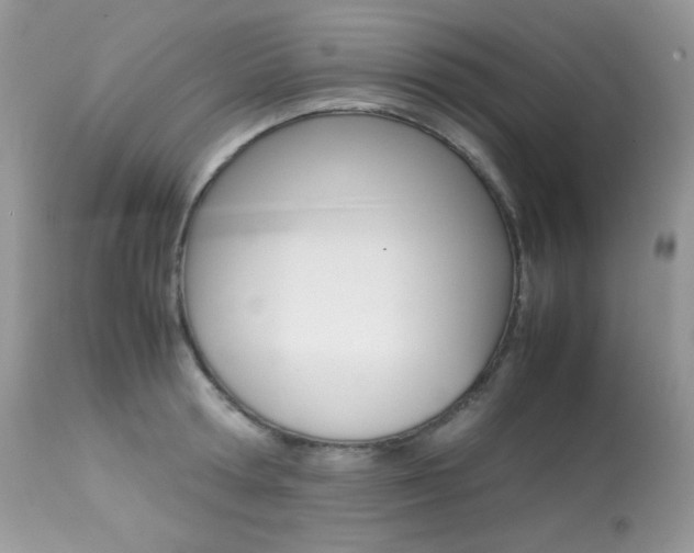 X0000113640802200909181328