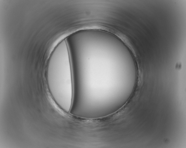 X0000113640805200909181327