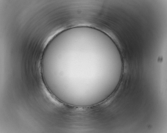 X0000113640806200909181327