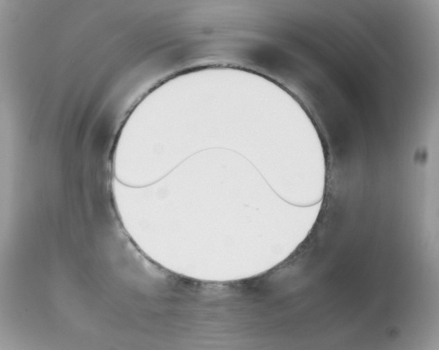X0000113640807200909181327