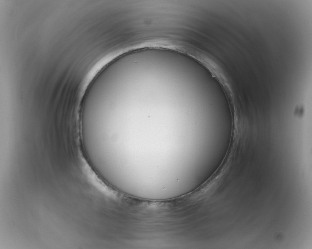 X0000113640808200909181327