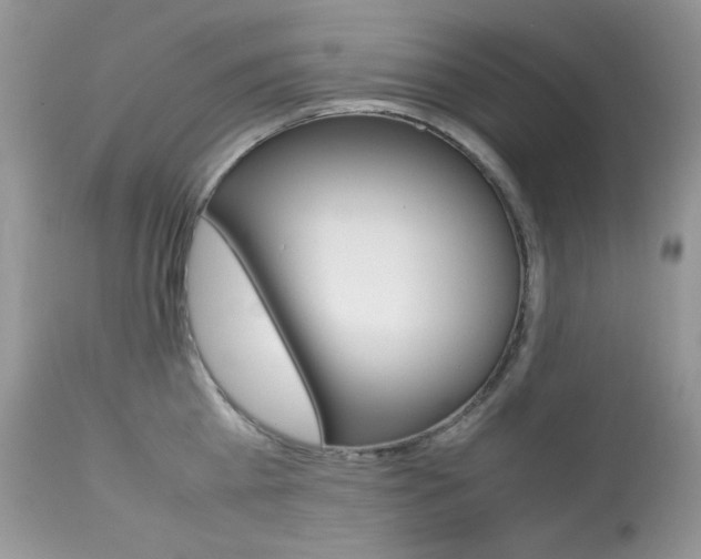 X0000113640809200909181327