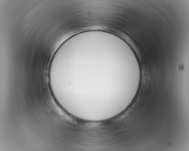 X0000113640810200909181327