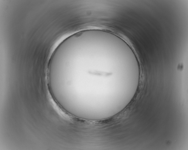 X0000113640811200909181327