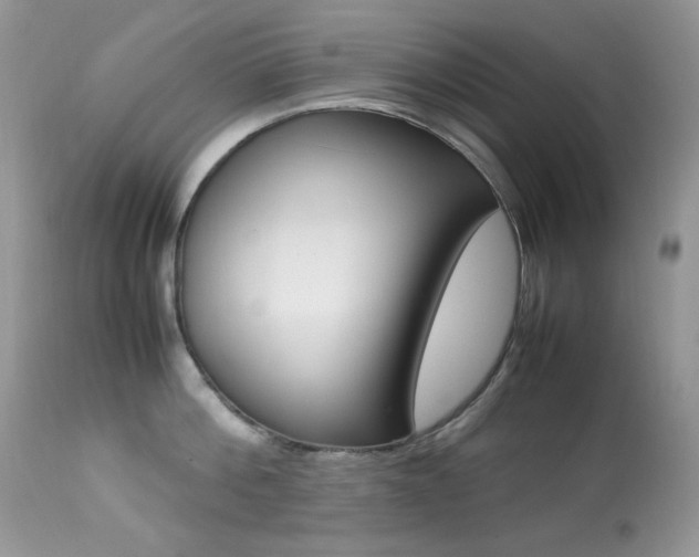 X0000113640812200909181327