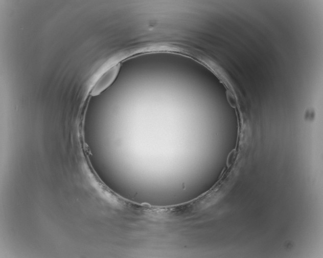 X0000113640813200909181327