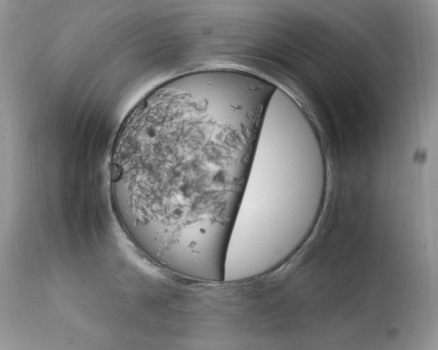 X0000113640814200909181327