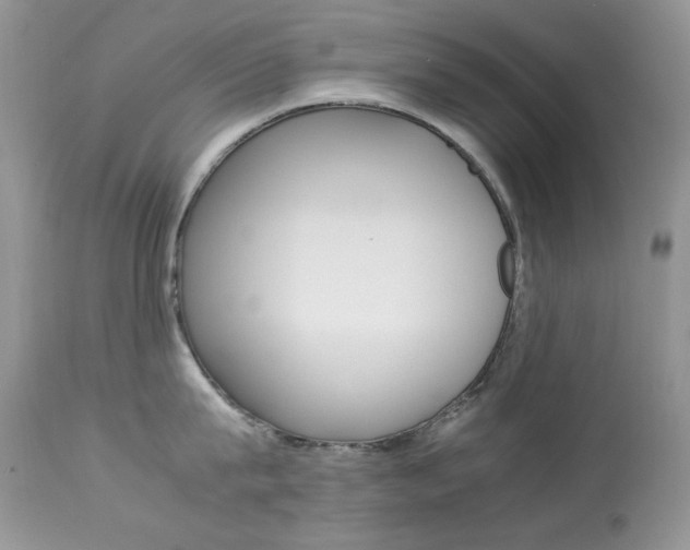 X0000113640815200909181327