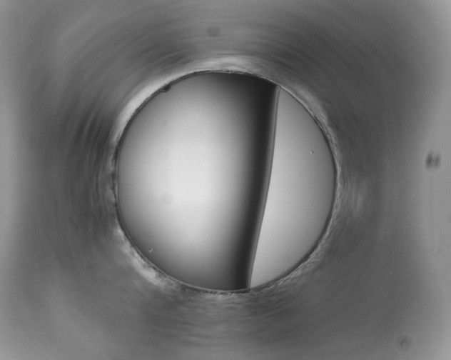 X0000113640816200909181327
