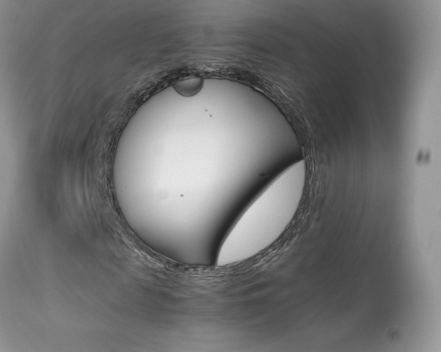 X0000113640817200909181327