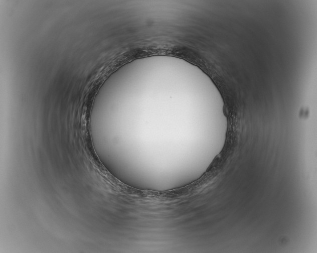 X0000113640818200909181327