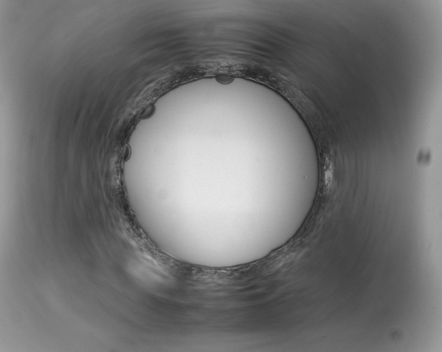 X0000113640819200909181327