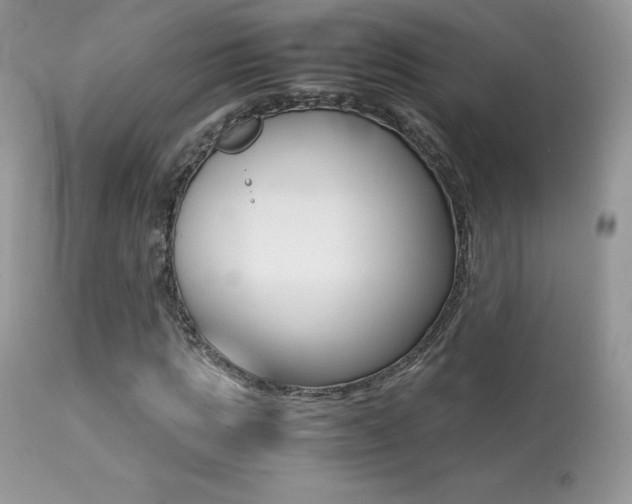 X0000113640821200909181327