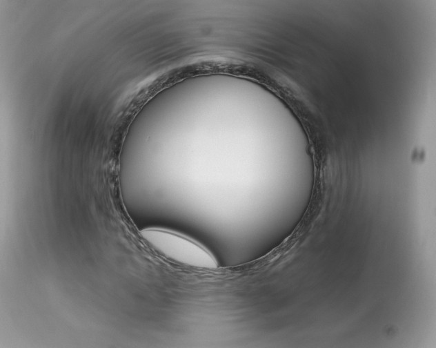 X0000113640822200909181327