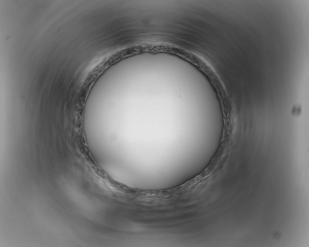 X0000113640823200909181327
