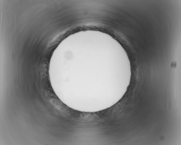 X0000113640824200909181327