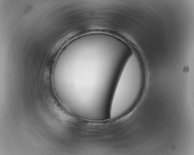 X0000113640825200909181327