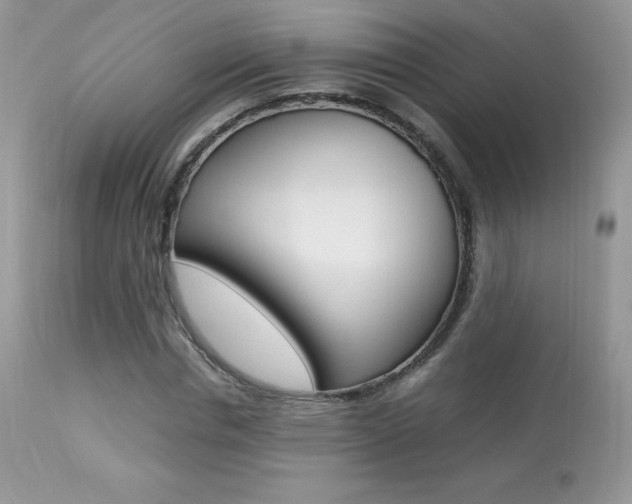 X0000113640826200909181327