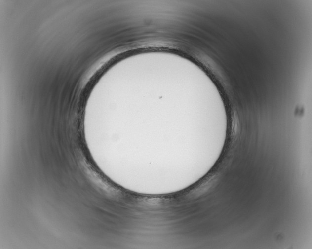 X0000113640828200909181327