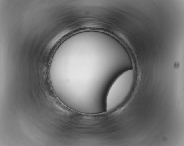 X0000113640829200909181327