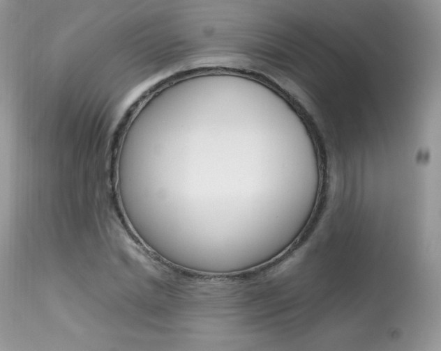 X0000113640830200909181327