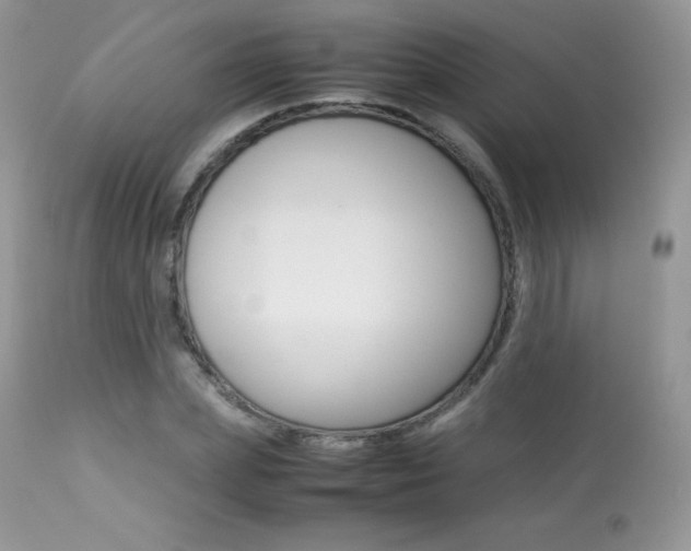 X0000113640831200909181327