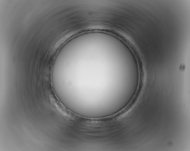 X0000113640833200909181327