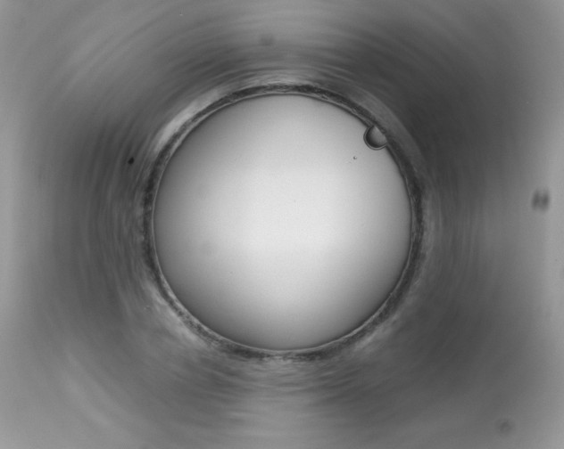 X0000113640834200909181327