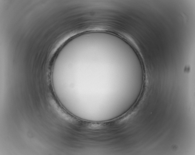 X0000113640835200909181327