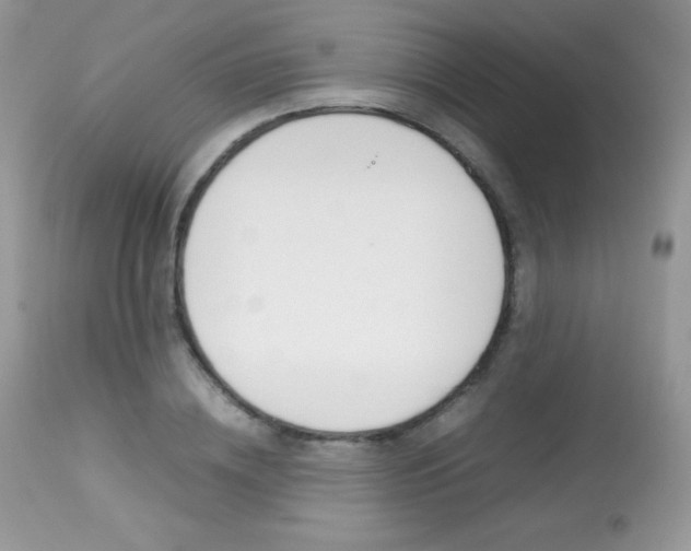 X0000113640836200909181327