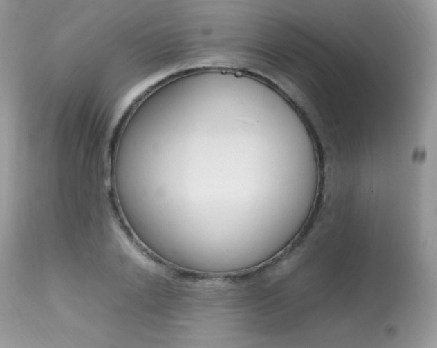 X0000113640838200909181327