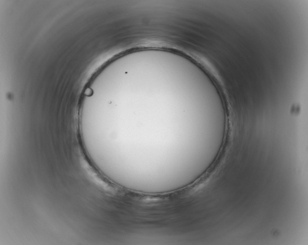 X0000113640839200909181327