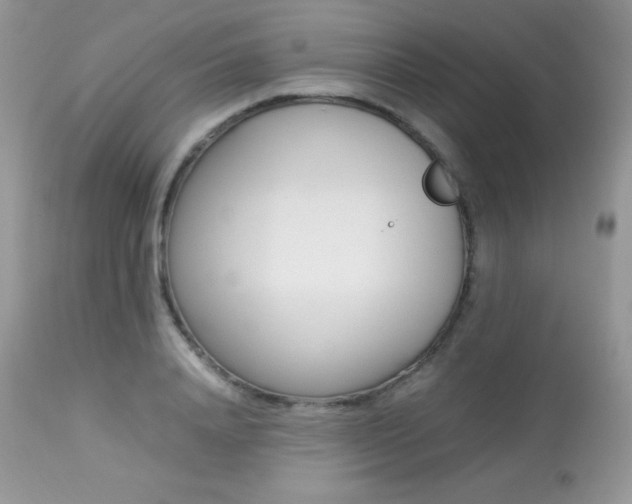 X0000113640840200909181327