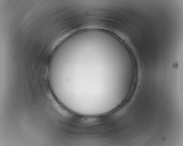 X0000113640841200909181327