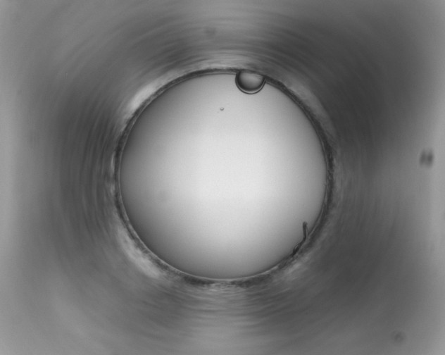 X0000113640842200909181327