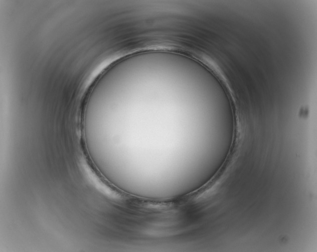 X0000113640843200909181327