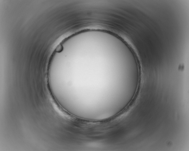 X0000113640845200909181327