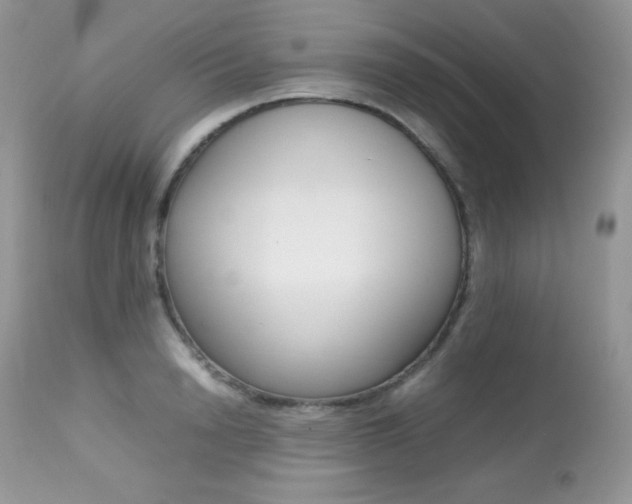 X0000113640846200909181327