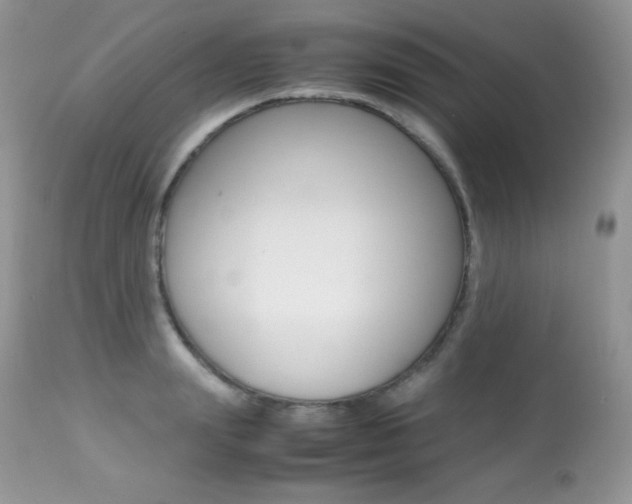 X0000113640847200909181327