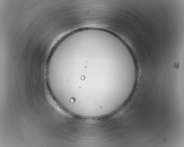 X0000113640848200909181327