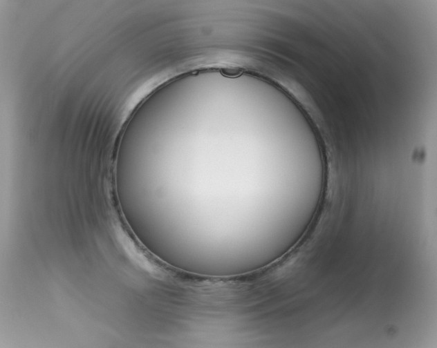 X0000113640850200909181327
