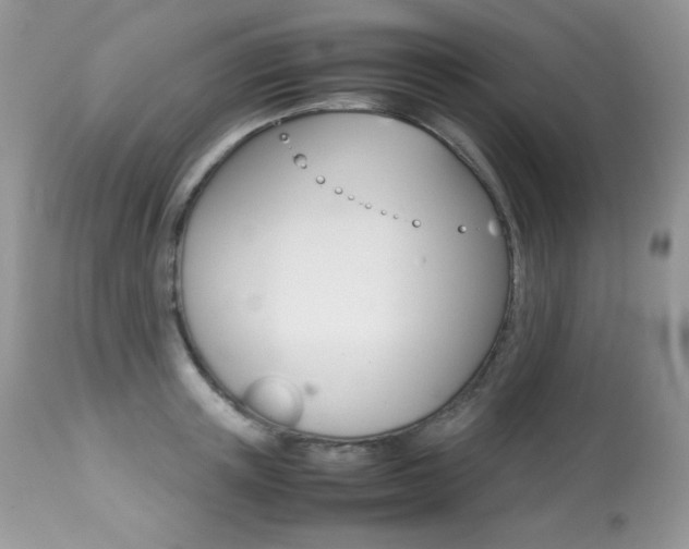 X0000113640851200909181327