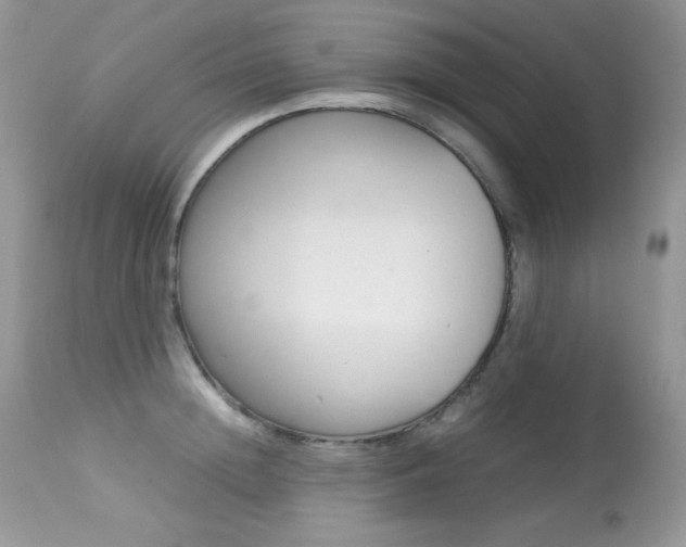 X0000113640852200909181327