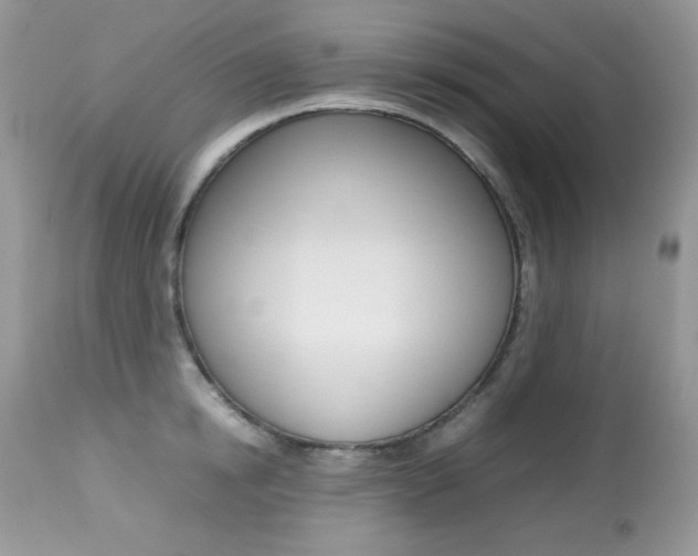 X0000113640854200909181327