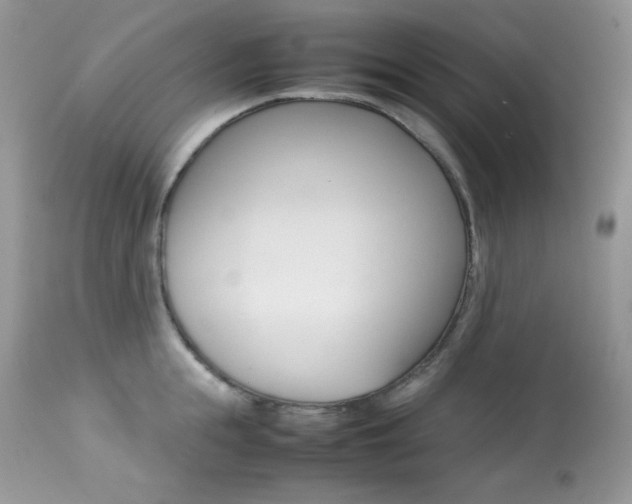 X0000113640855200909181327