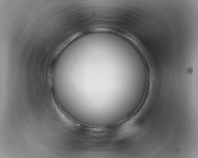 X0000113640857200909181327