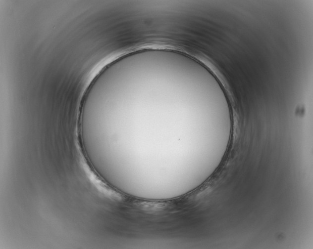 X0000113640861200909181327